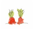 A watercolor sketch of a carrot growing in the ground.